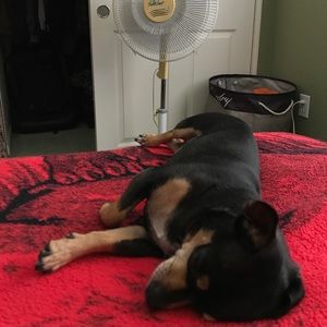 Meet your Posher, Ramon